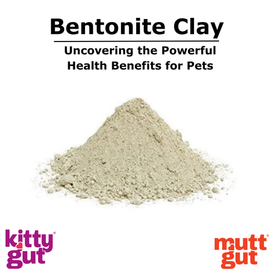 Unlocking Nature's Treasures: Bentonite Clay in MuttGut and KittyGut