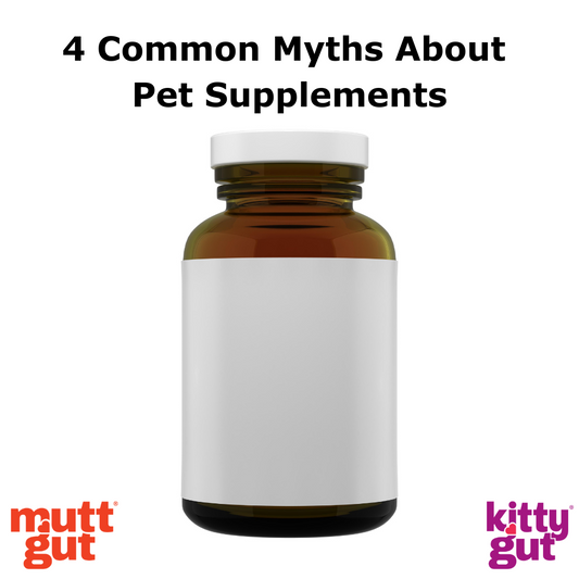 Exposing Common Myths About Pet Supplements