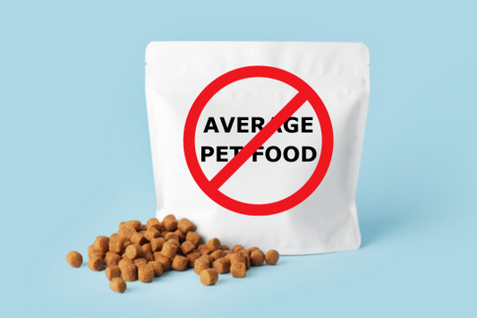 Dog Blank Food