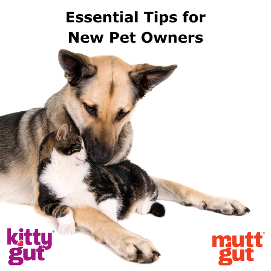 Essential Tips for New Pet Owners