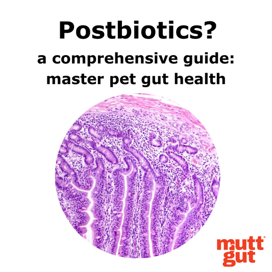 The Power of Postbiotics