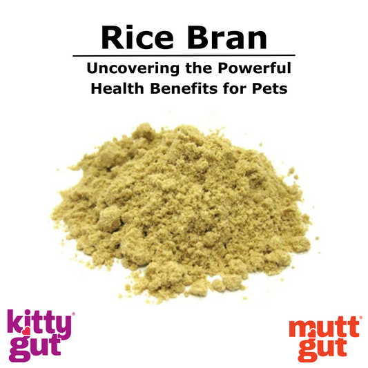 Unveiling the Nutritional Marvel: Rice Bran in Pet Health
