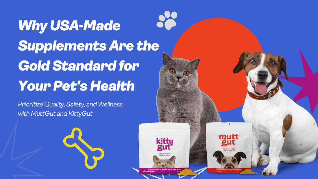Why USA-Made Supplements Are the Gold Standard for Your Pet's Health