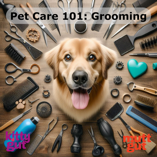 Grooming Essentials: Keeping Your Pet Happy and Healthy