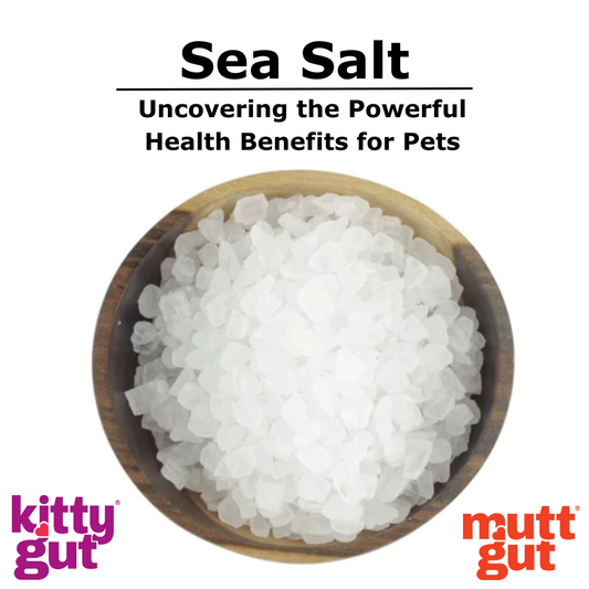 Sea Salt Explained: Elevating Your Pet's Health Naturally With Sea Salt!