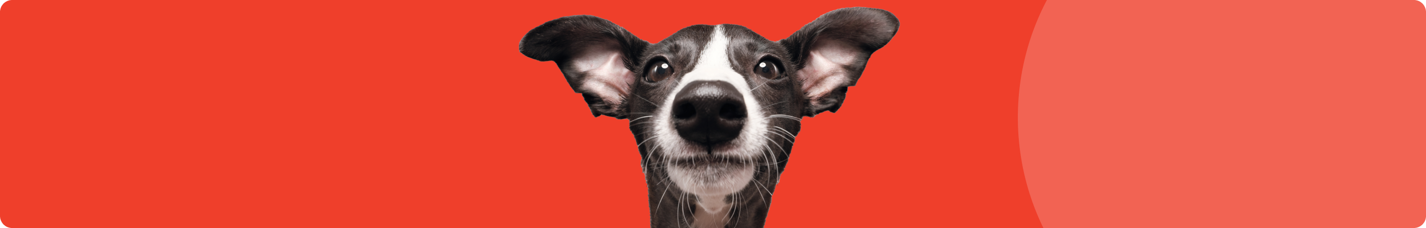 Love your pet,inside and out®