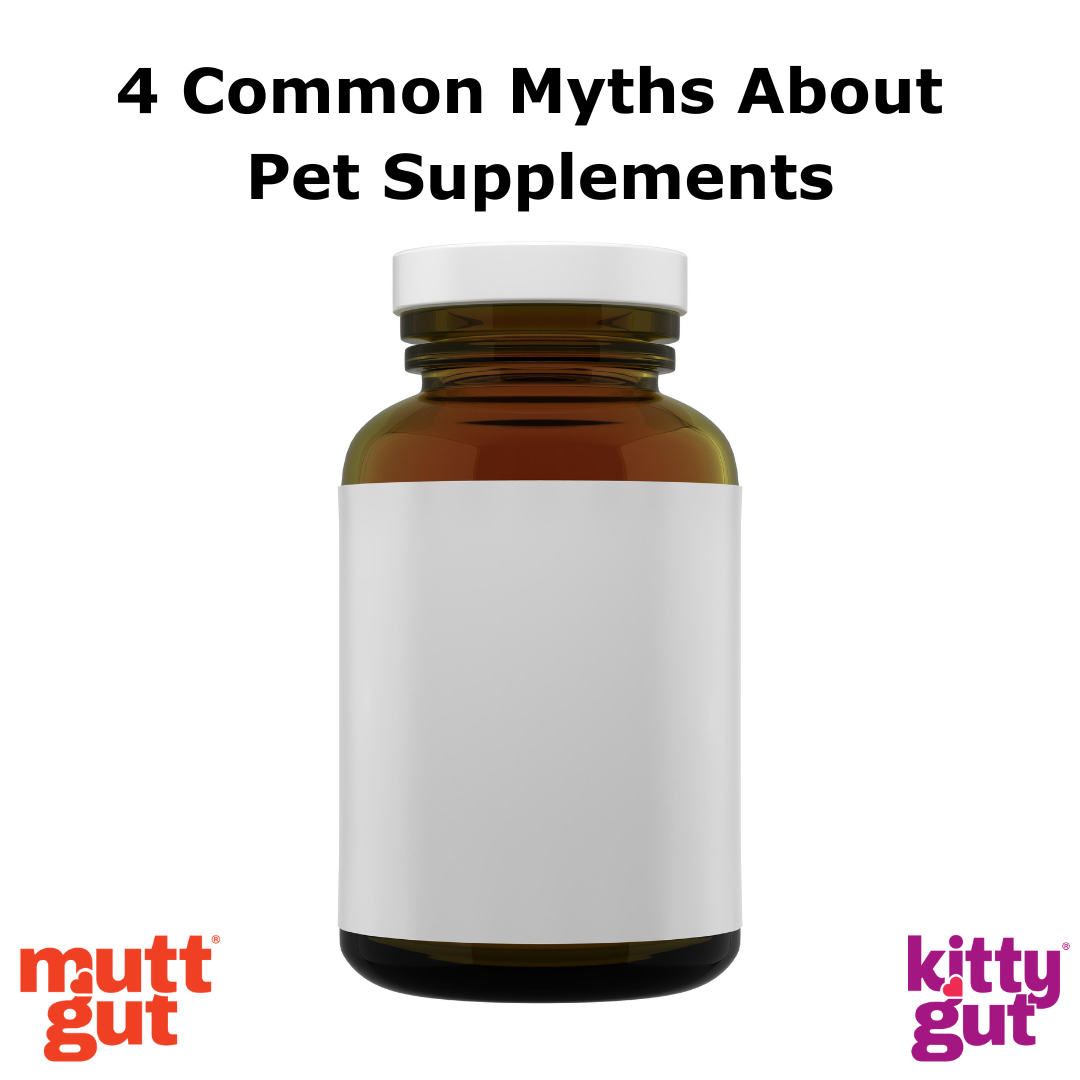 Exposing Common Myths About Pet Supplements