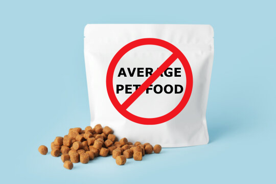 Dog Blank Food