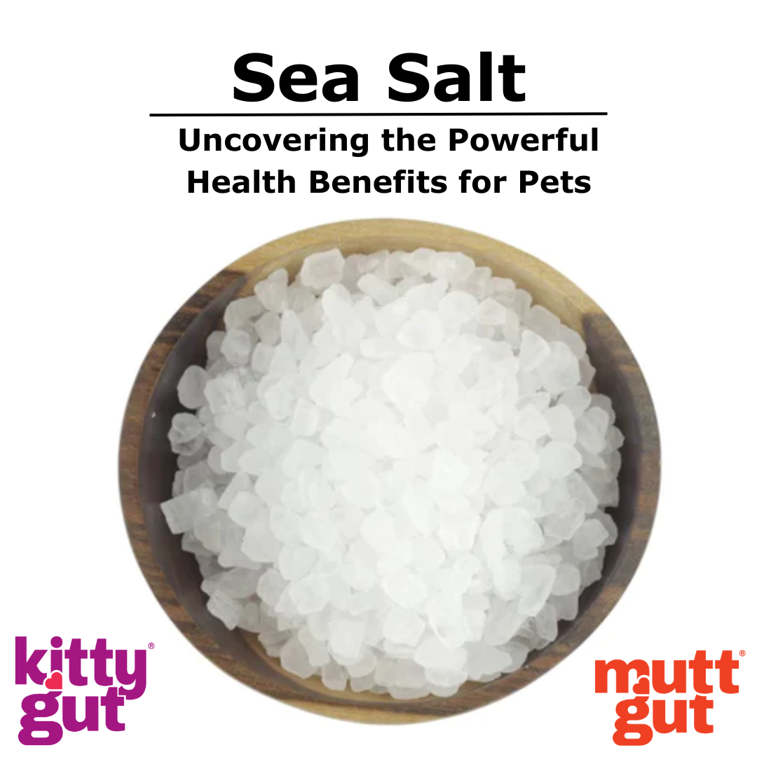 Sea Salt Explained: Elevating Your Pet's Health Naturally With Sea Salt!
