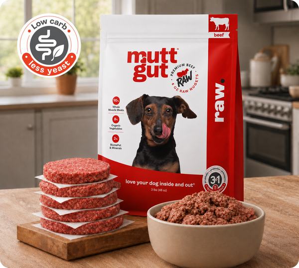 MuttGut® gut support raw - beef recipe