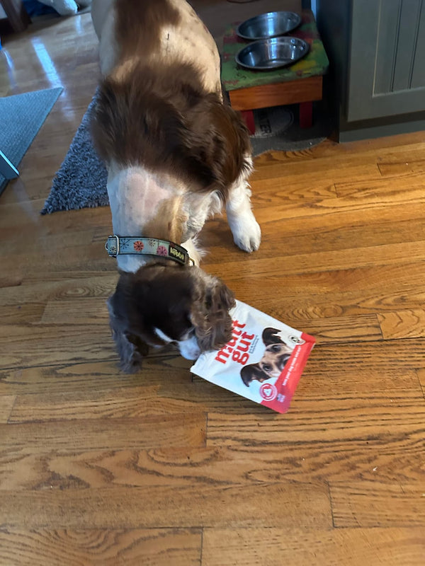 Abby L.'s review