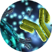 Process step details