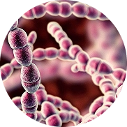 Process step details