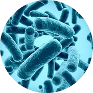 Process step details